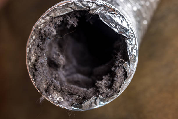 Best Professional Duct Cleaning Services  in Town Line, NY