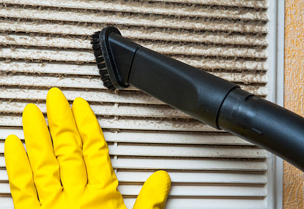 Best Affordable Duct Cleaning Services  in Town Line, NY